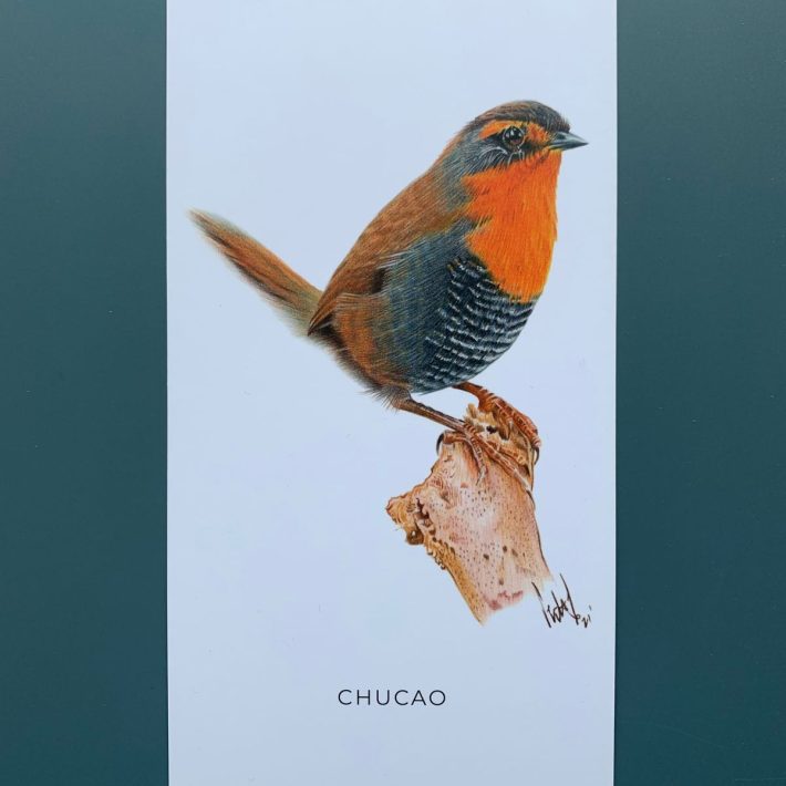 Ilustración