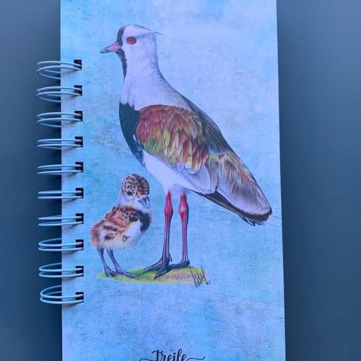 Libreta grande Treile