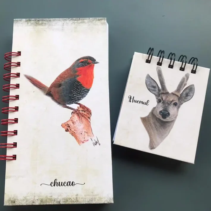 Libretas