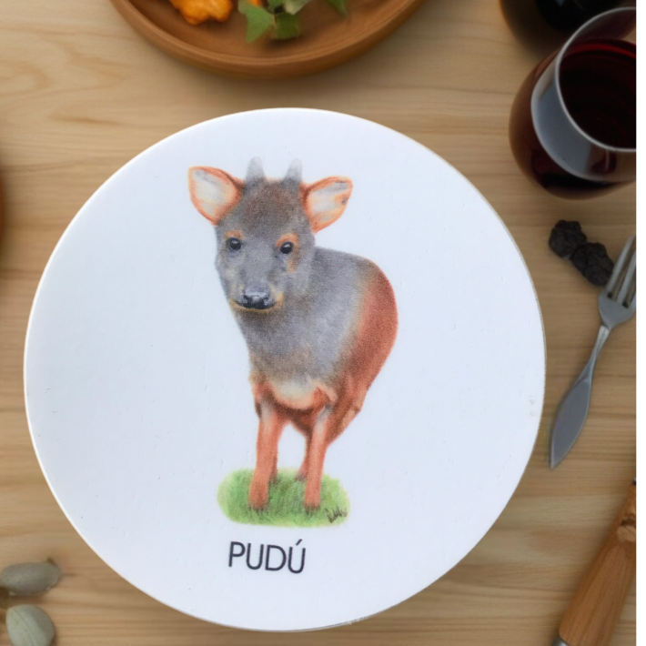 Posavaso Pudú