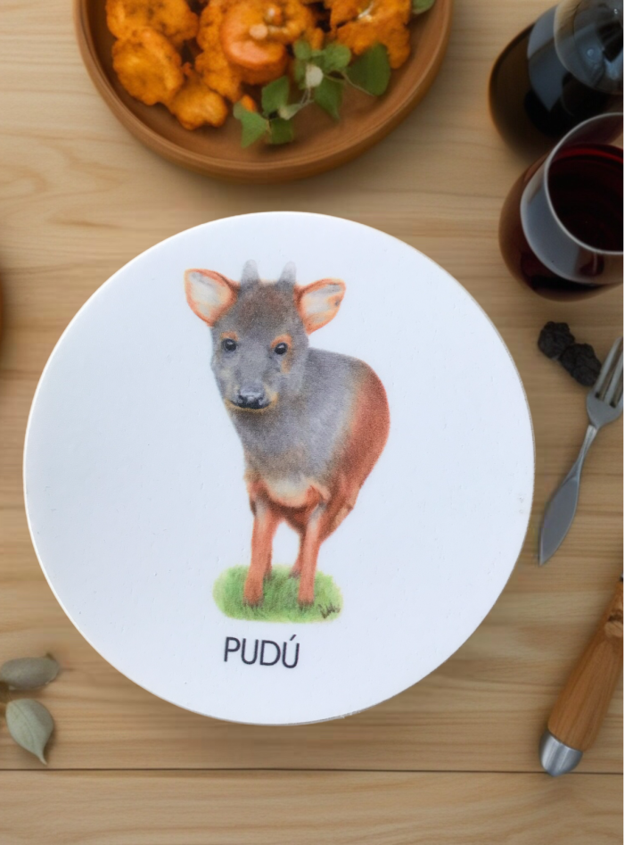 Posavaso Pudú