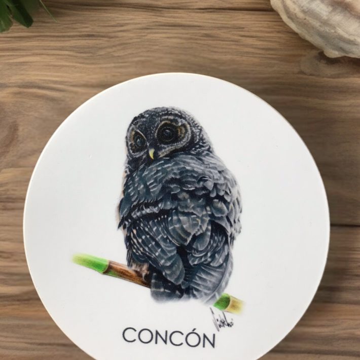 Posavaso Concón