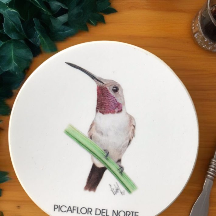 Posavaso Picaflor del Norte