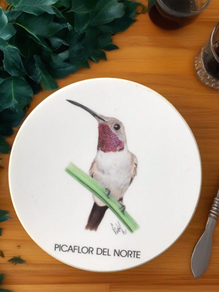 Posavaso Picaflor del Norte