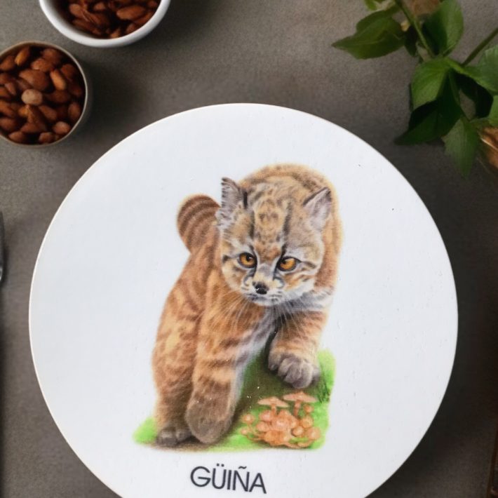 Posavaso güiña