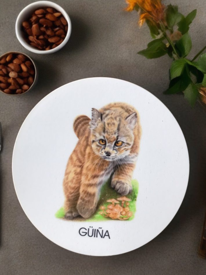 Posavaso güiña