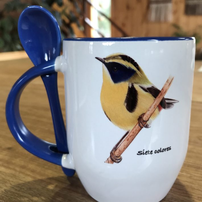Tazón Siete colores y Cometocino