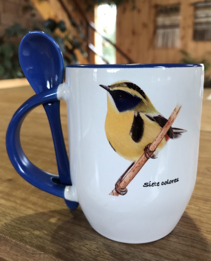 Tazón Siete colores y Cometocino