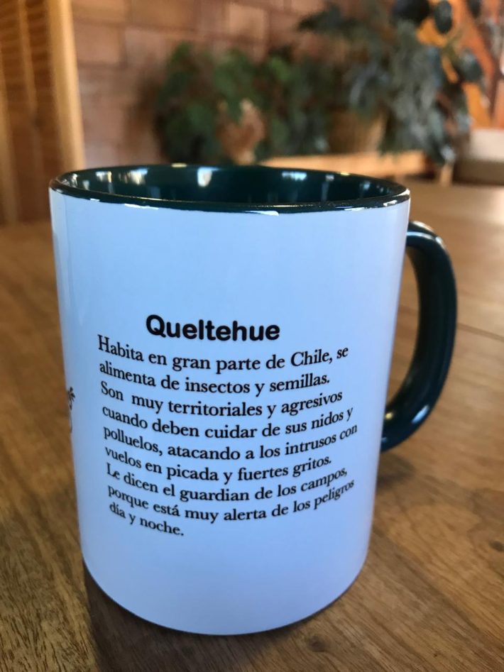 Tazón Queltehue - Imagen 2