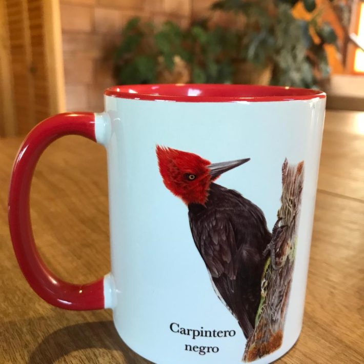 Tazón Carpinteros de Chile