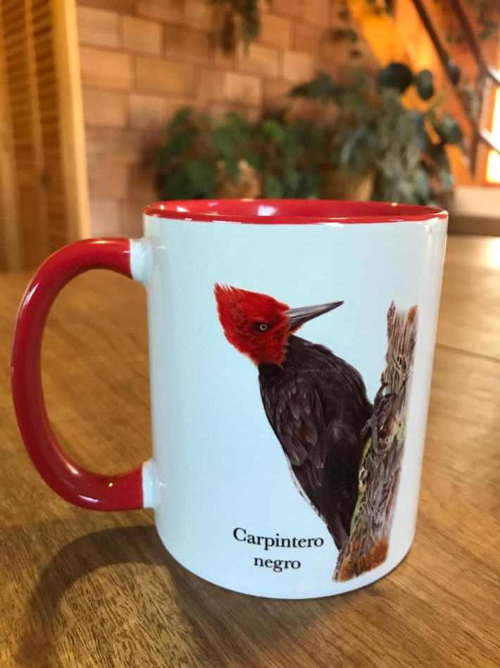 Tazón Carpinteros de Chile