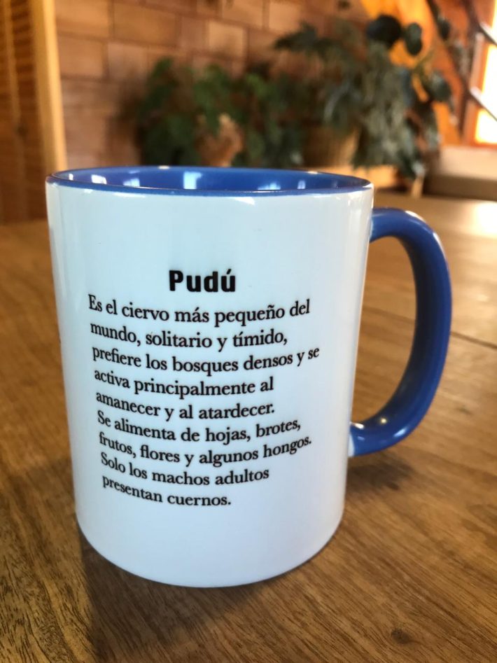 Tazón Pudú - Imagen 2
