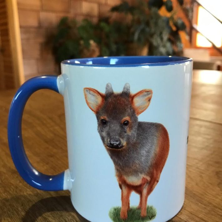 Tazón Pudú