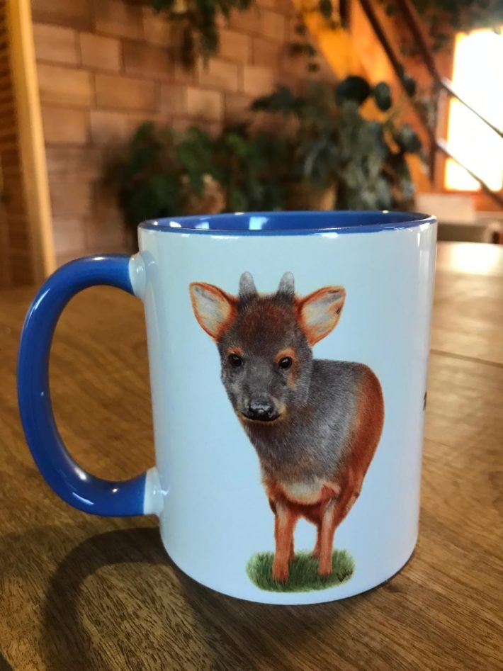 Tazón Pudú