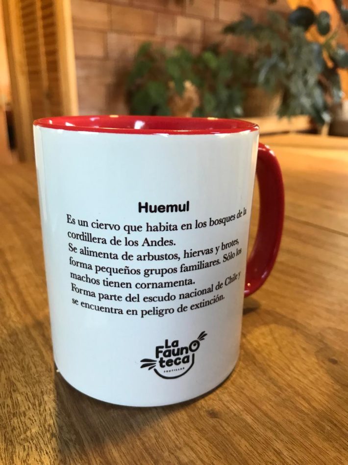 Tazón Huemul - Imagen 2