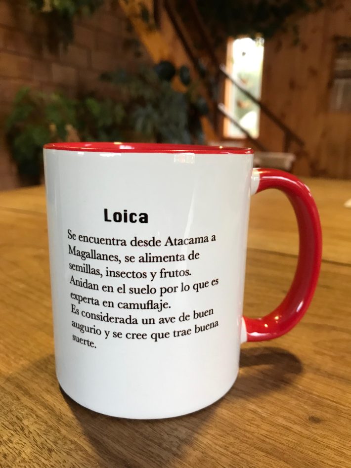 Tazón Loica - Imagen 2