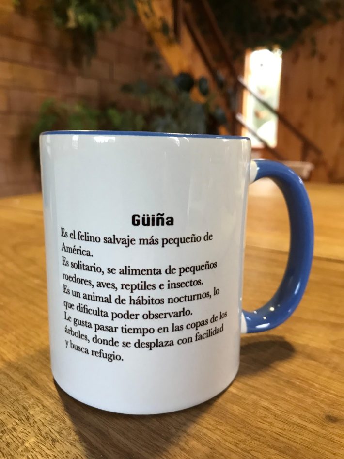 Tazón Güiña - Imagen 2