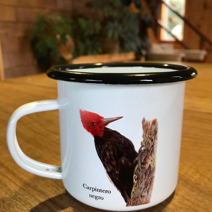 Jarrito Carpinteros