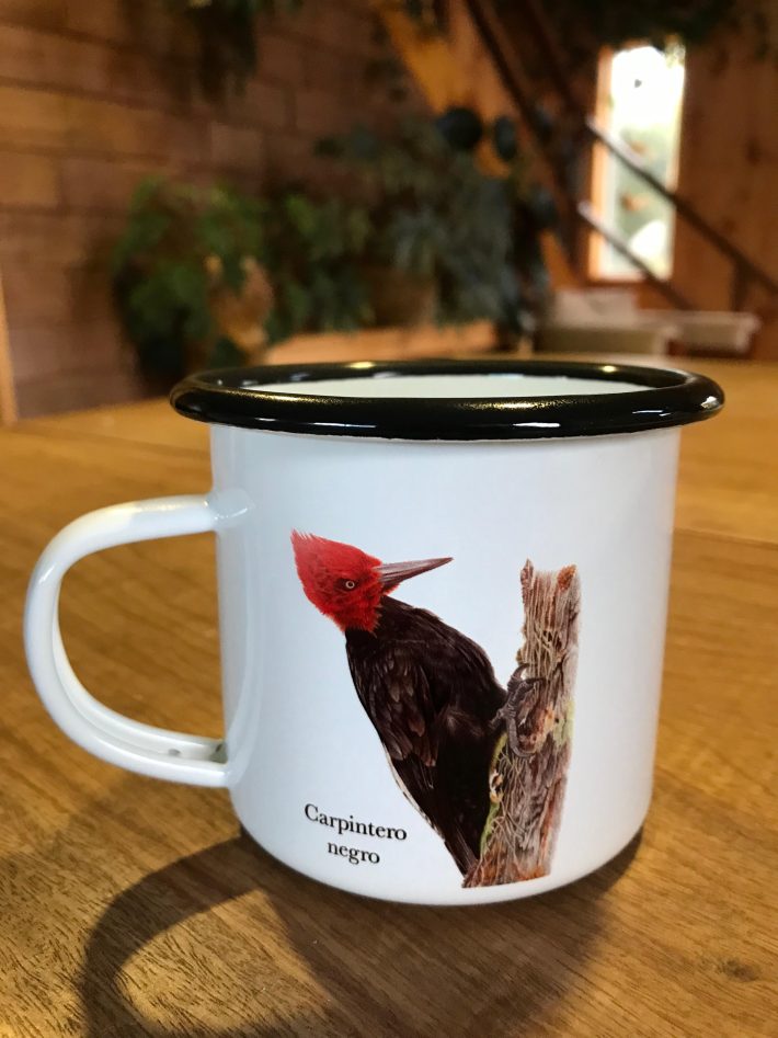 Jarrito Carpinteros