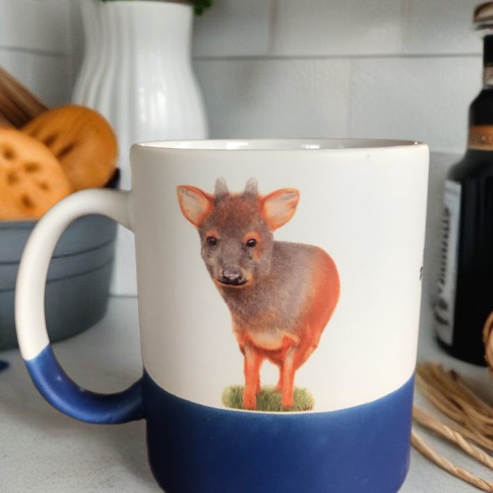 Tazón Pudú