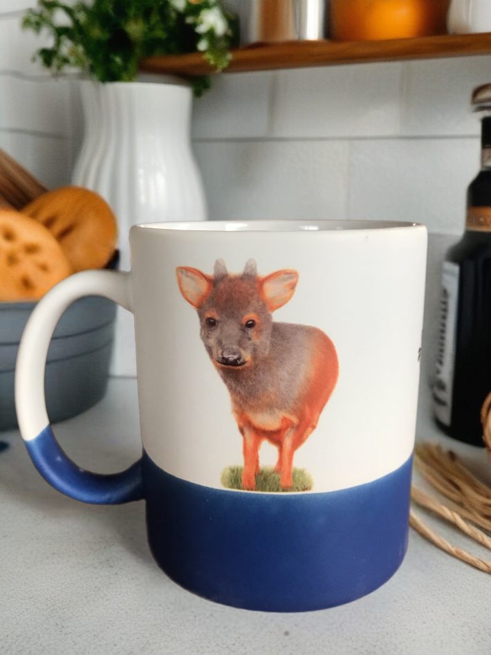 Tazón Pudú