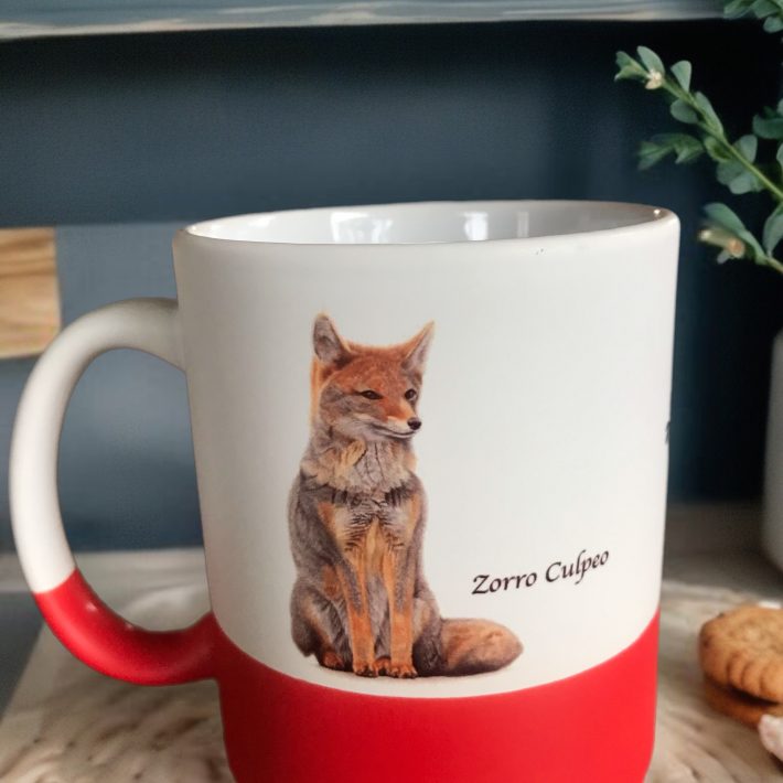 Tazón Zorros