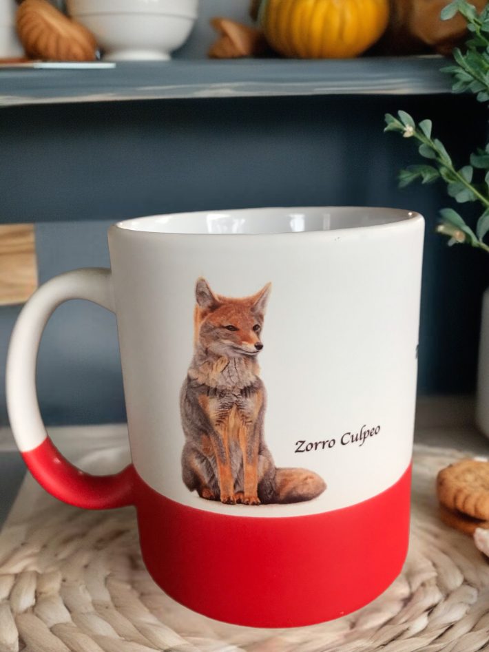 Tazón Zorros