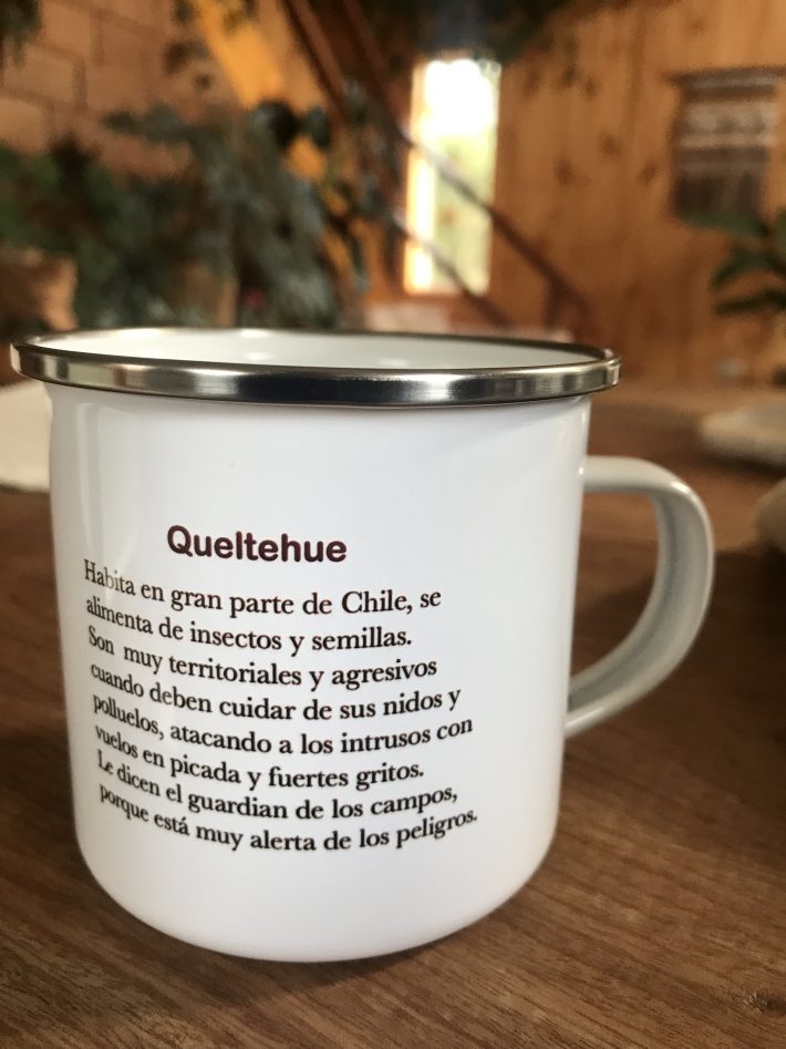 Jarrito Queltehue - Imagen 2