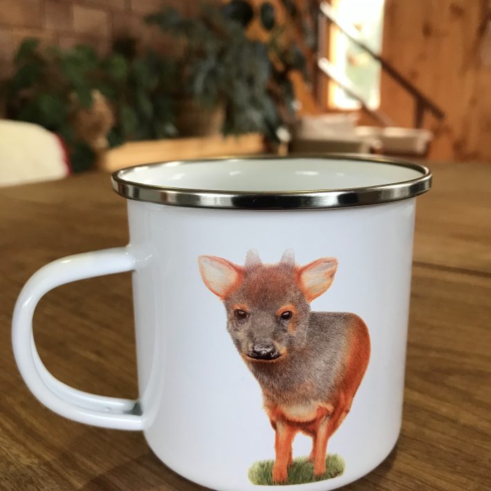 Jarrito Pudú