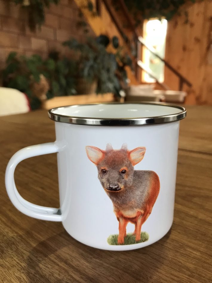 Jarrito Pudú