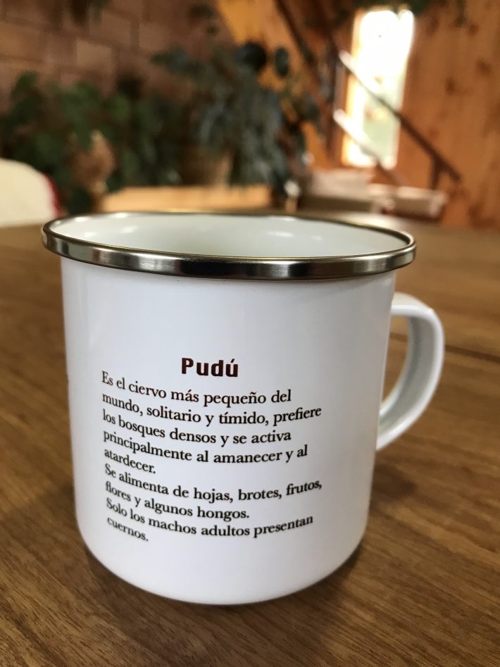 Jarrito Pudú - Imagen 2