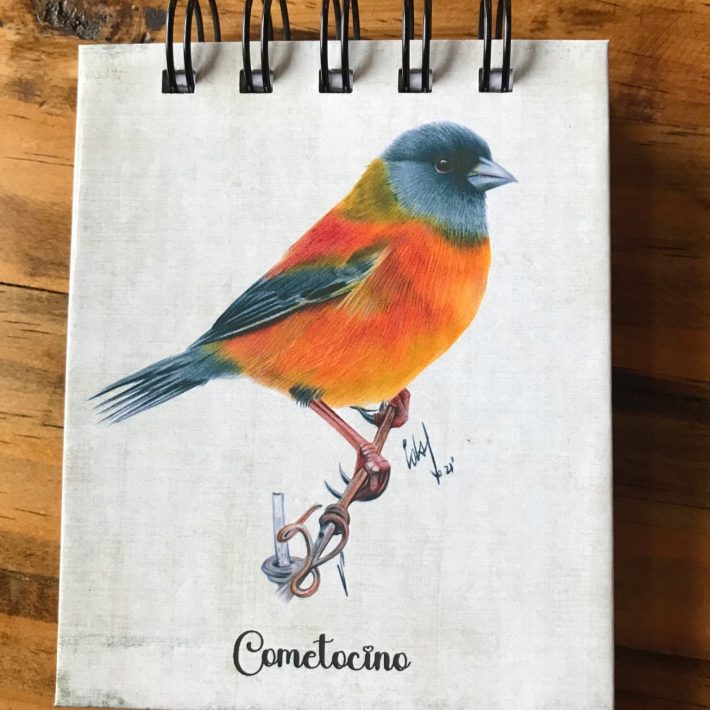 Libreta Cometocino