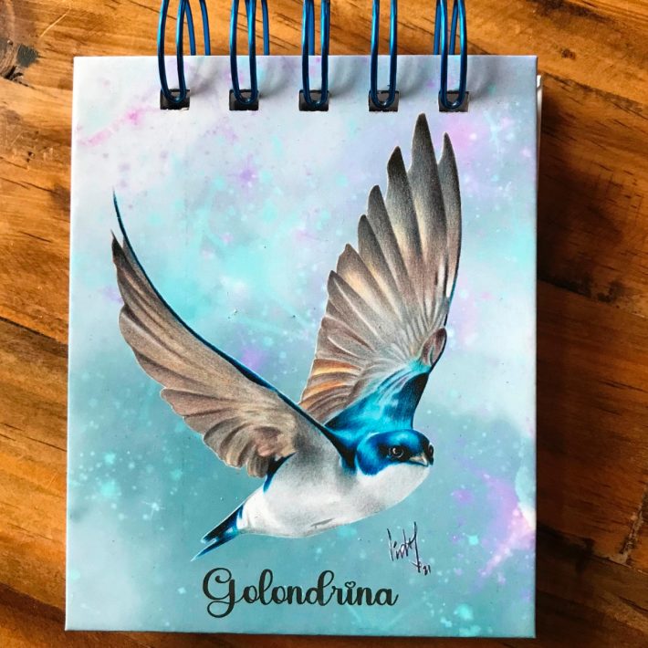 Libreta Golondrina
