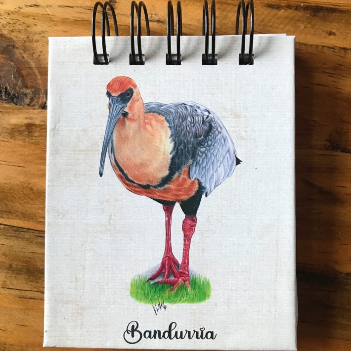 Libreta Bandurria