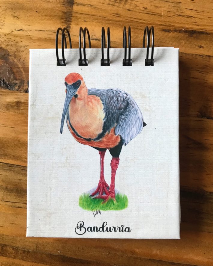 Libreta Bandurria