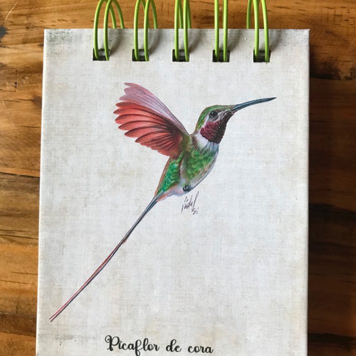Libreta Picaflor de cora
