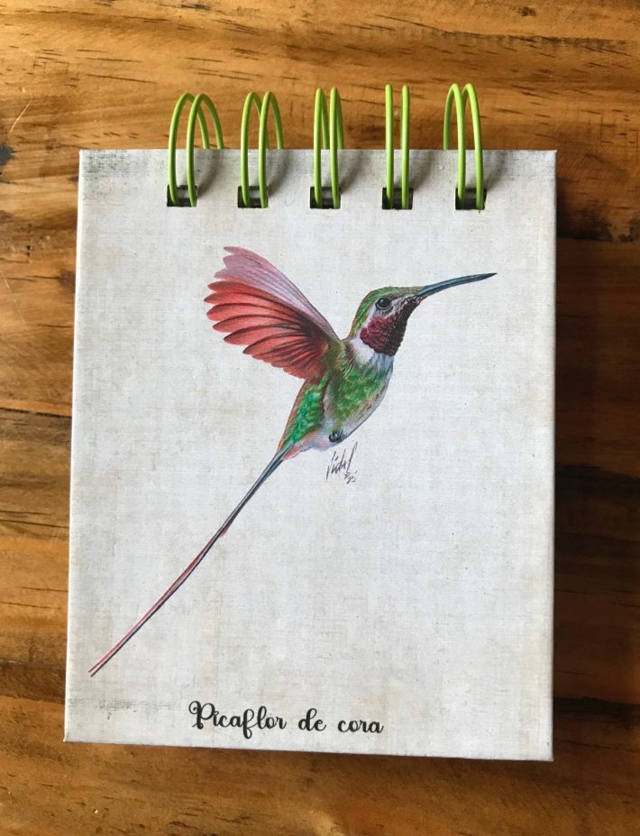 Libreta Picaflor de cora