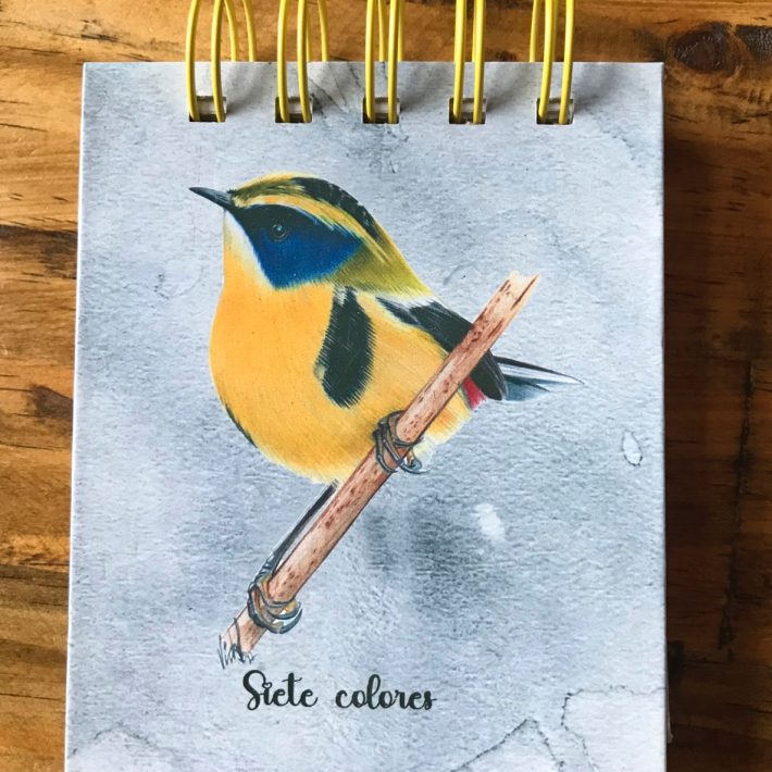 Libreta Siete colores