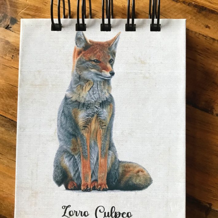 Libreta Zorro culpeo
