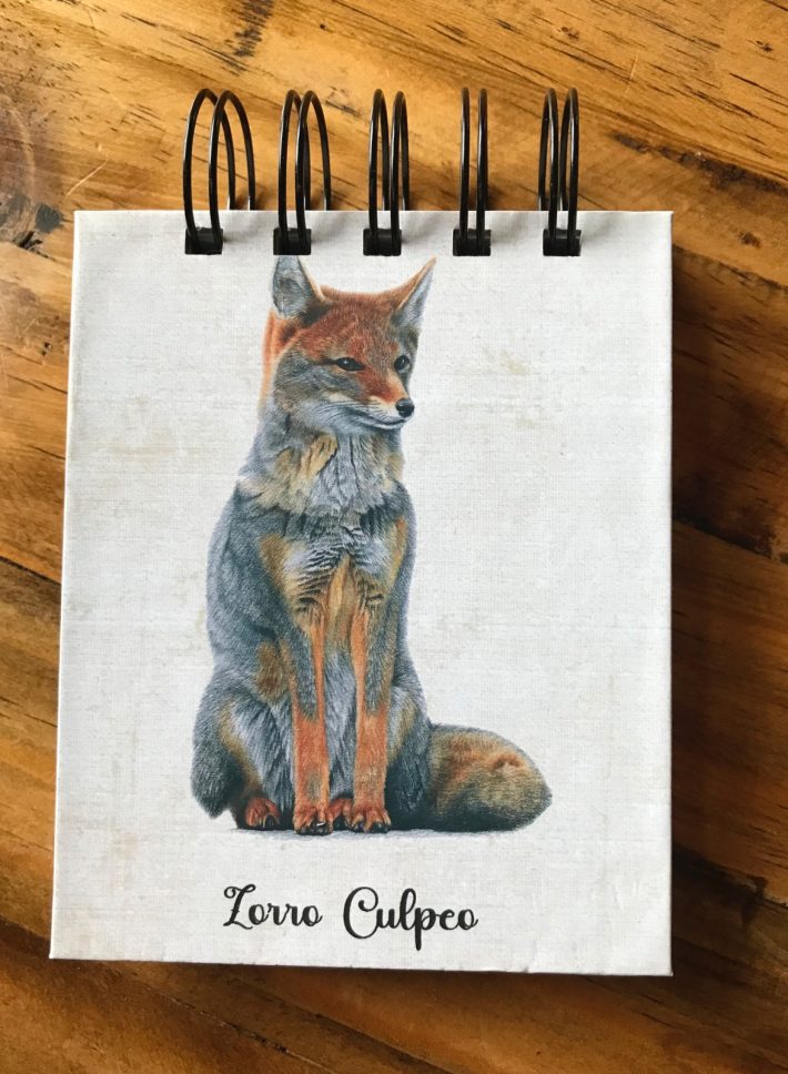 Libreta Zorro culpeo