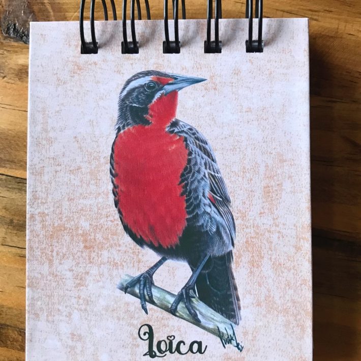 Libreta Loica