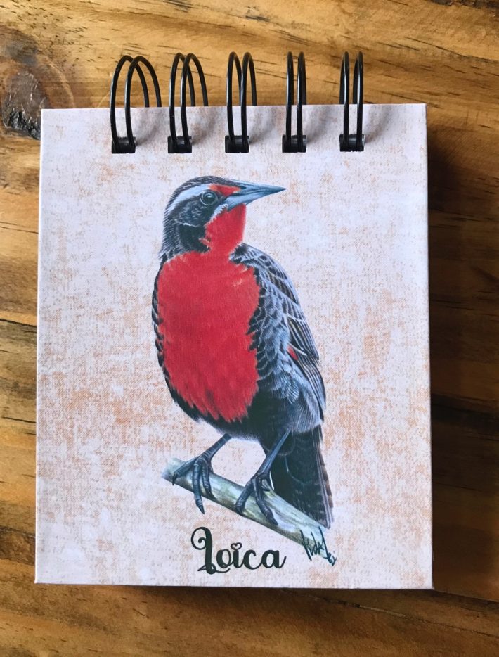 Libreta Loica