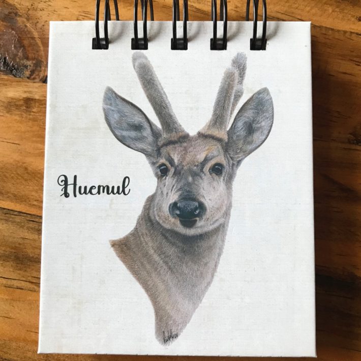 Libreta Huemul