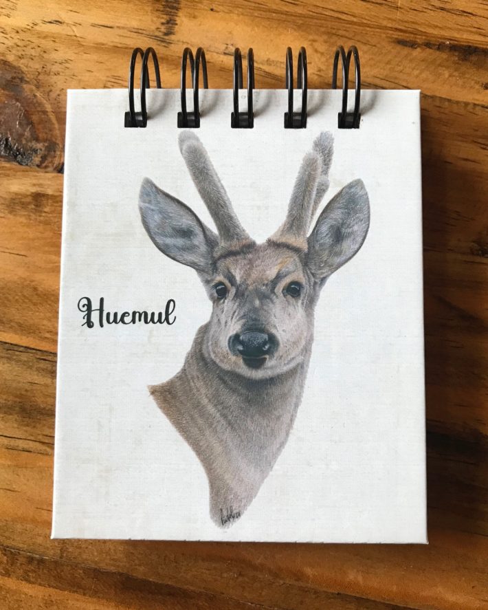 Libreta Huemul