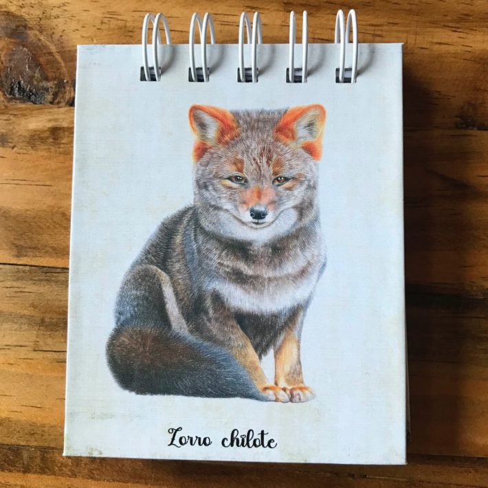 Libreta Zorro chilote