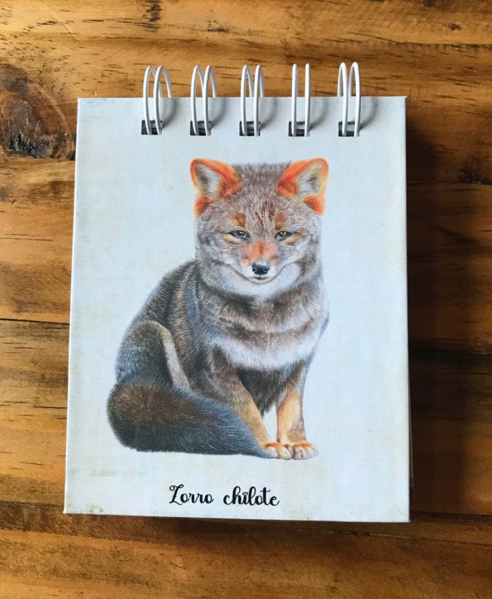 Libreta Zorro chilote