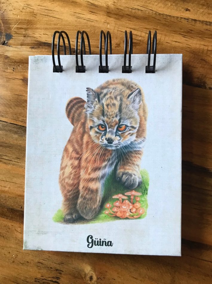 Libreta Güiña