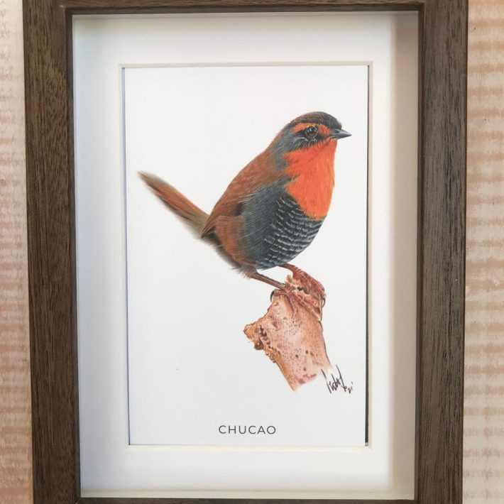 Cuadro Chucao