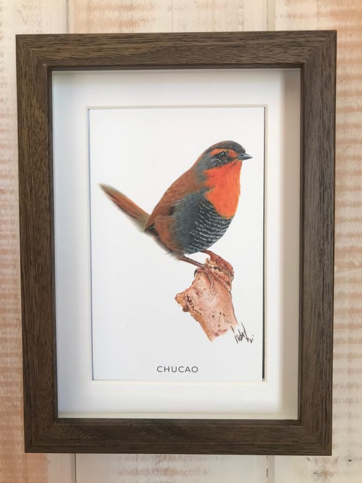 Cuadro Chucao