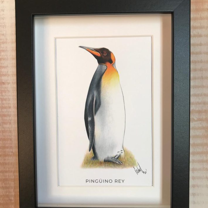 Cuadro Pingüino rey